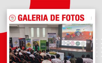 📷Galería de fotos | Manejo del jopo en girasol