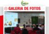 📷Galería de fotos | Nutrición para el tallo de la caña