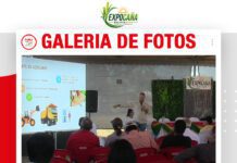 📷Galería de fotos | Nutrición para el tallo de la caña