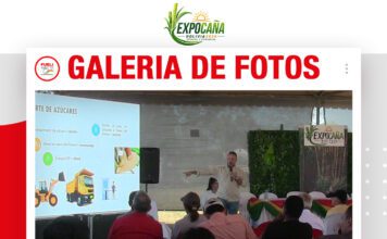 📷Galería de fotos | Nutrición para el tallo de la caña