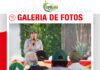 📷Galería de fotos | Plagas de la caña, control biólogico