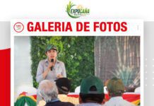 📷Galería de fotos | Plagas de la caña, control biólogico