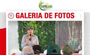 📷Galería de fotos | Plagas de la caña, control biólogico
