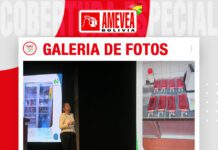 📷Galería de fotos | Plantas de incubación