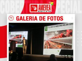 📷Galería de fotos | Ponedoras: puntos críticos en galpones climatizados