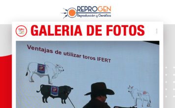 📷Galería de fotos | Programa IFER en Bolivia