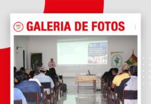 📷Galería de fotos | Recría y engorde de cerdos