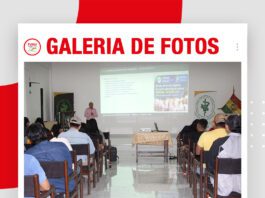 📷Galería de fotos | Recría y engorde de cerdos