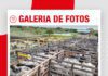 📷Galería de fotos | Remate La Loma de Ovando