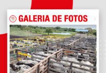 📷Galería de fotos | Remate La Loma de Ovando