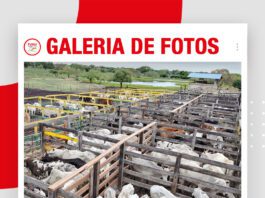 📷Galería de fotos | Remate La Loma de Ovando
