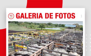 📷Galería de fotos | Remate La Loma de Ovando