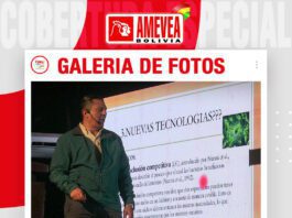 📷Galería de fotos | Salmonela en la avicultura