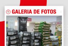 📷Galería de fotos | Semillas de pasto