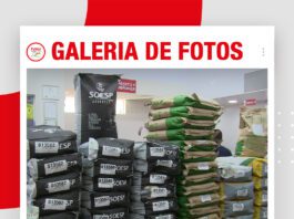 📷Galería de fotos | Semillas de pasto