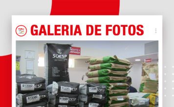 📷Galería de fotos | Semillas de pasto