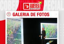📷Galería de fotos | Valor monetario materias primas