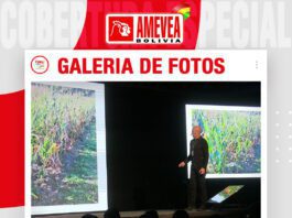📷Galería de fotos | Valor monetario materias primas