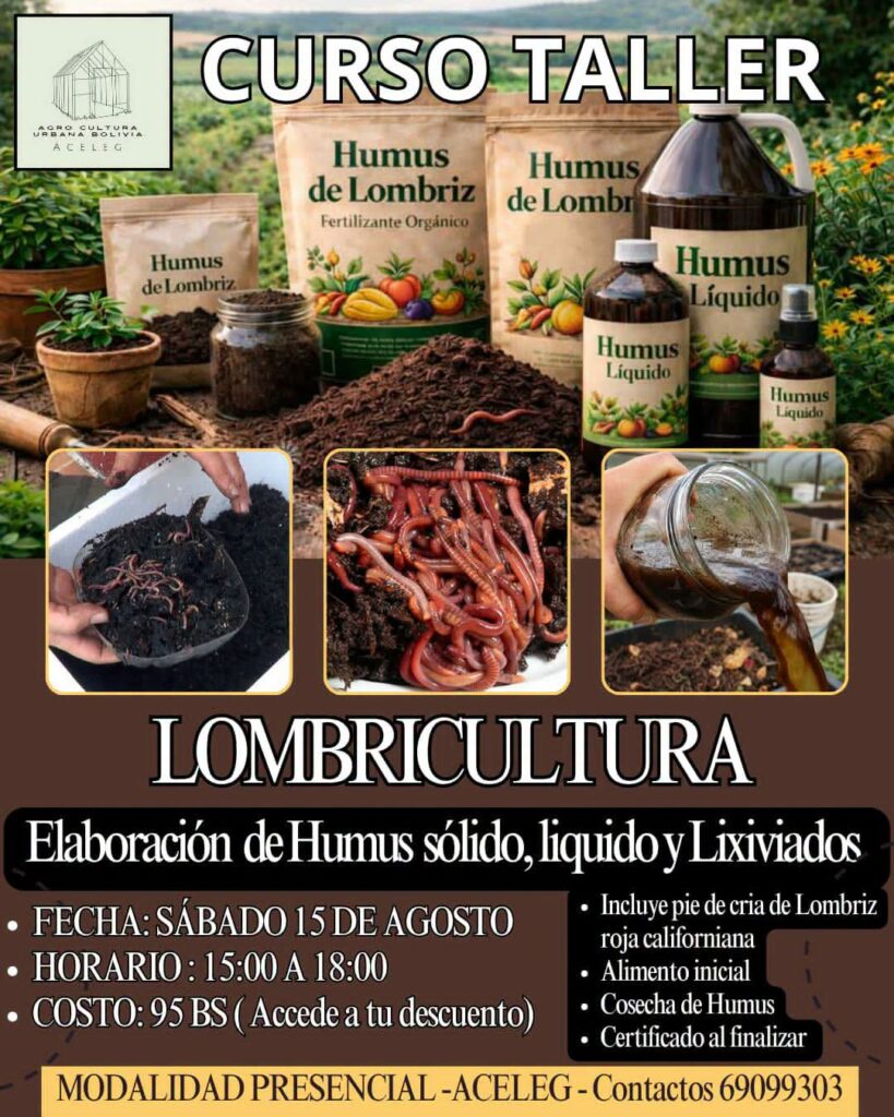 WhatsApp Image 2026-08-11 at 07.48.29