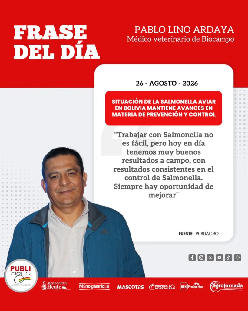 WhatsApp Image 2026-08-26 at 19.45.46