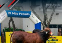 📷Galería de fotos | ¡Así vivimos el pesaje oficial de Expocruz 2026!