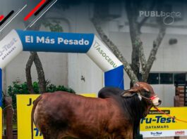 📷Galería de fotos | ¡Así vivimos el pesaje oficial de Expocruz 2026!