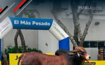 📷Galería de fotos | ¡Así vivimos el pesaje oficial de Expocruz 2026!