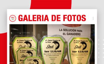 📷Galería de fotos | 4ta Faena Técnica Sindi