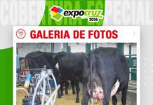 📷Galería de fotos | 7ma ordeña del concurso lechero