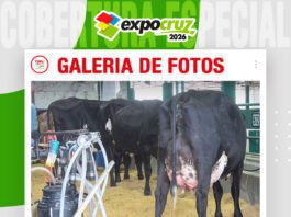 📷Galería de fotos | 7ma ordeña del concurso lechero