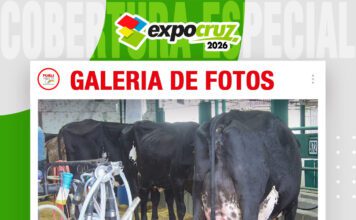 📷Galería de fotos | 7ma ordeña del concurso lechero