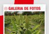 📷Galería de fotos | APPIBOL apuesta por transformar la pitahaya