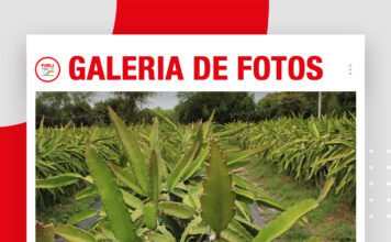 📷Galería de fotos | APPIBOL apuesta por transformar la pitahaya
