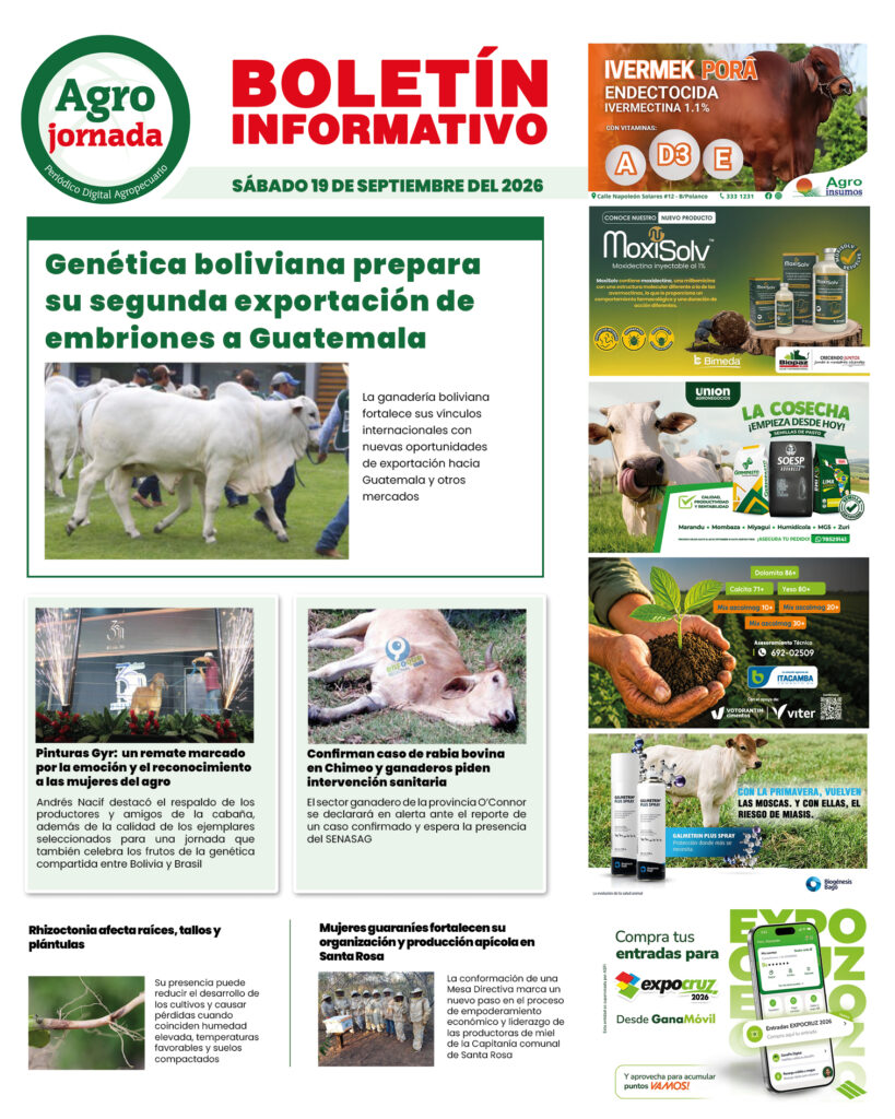 BOLETÍN AGROJORNADA 19:09:26
