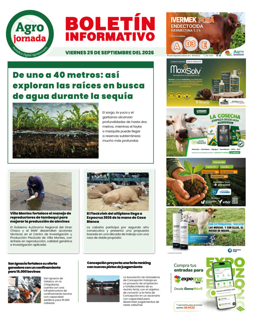 BOLETÍN AGROJORNADA 25:09:26