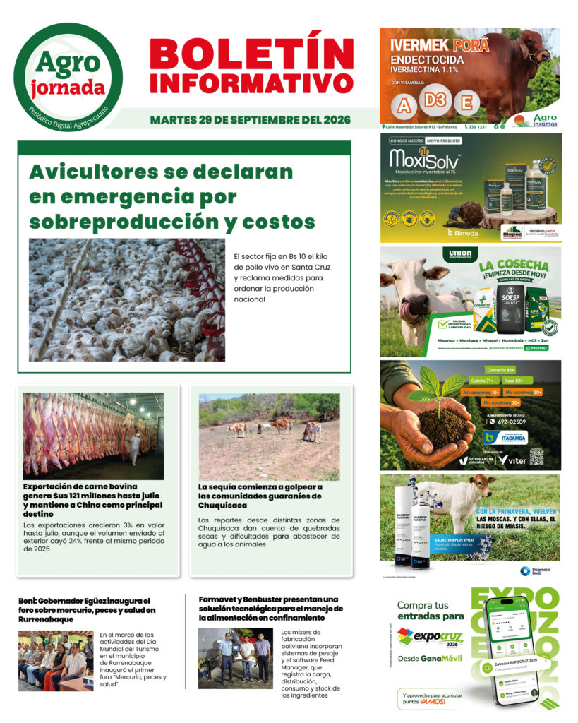 BOLETÍN AGROJORNADA 29:09:26