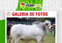 馃摲Galer铆a de fotos | Brahman con ra铆ces en el coraz贸n del Chaco