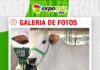📷Galería de fotos | Cabaña Jenecherú destaca con genética de calidad