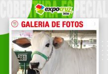 📷Galería de fotos | Cabaña Jenecherú destaca con genética de calidad