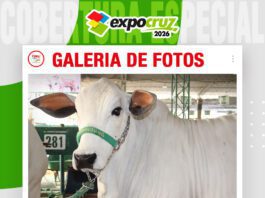 📷Galería de fotos | Cabaña Jenecherú destaca con genética de calidad