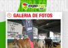 📷Galería de fotos | Canaán lleva su genética lechera a las pistas y logra nuevos títulos