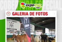 📷Galería de fotos | Canaán lleva su genética lechera a las pistas y logra nuevos títulos