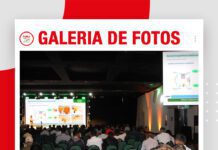 📷Galería de fotos | Desafíos para la sostenibilidad del girasol