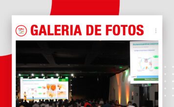 📷Galería de fotos | Desafíos para la sostenibilidad del girasol