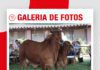 📷Galería de fotos | Día de Campo Rancho La Martina