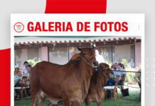 📷Galería de fotos | Día de Campo Rancho La Martina