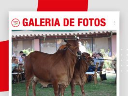 📷Galería de fotos | Día de Campo Rancho La Martina