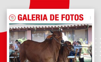 📷Galería de fotos | Día de Campo Rancho La Martina