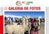 📷Galería de fotos | EXPOCAMEL 2026