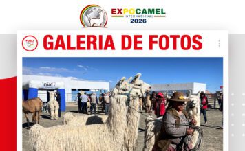 📷Galería de fotos | EXPOCAMEL 2026